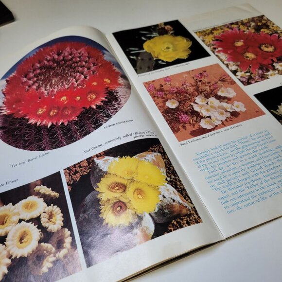 Arizona Highways December 1972 Holiday Seasons Greetings Christmas Snow Cactus - Picture 10 of 15